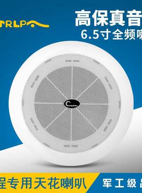 CTRLPACA022吸顶喇叭扬声器套装吊顶嵌入式音响店铺定压天花音箱