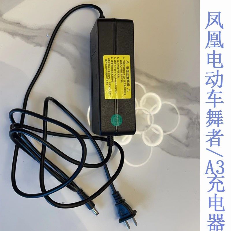 凤凰电动自行车舞者充电器/A3充电器 电动车充电器 锂电池充电器