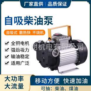 韩朗机油齿轮泵圆弧微型铝合金电动交流抽油泵厂家 家用液压泵