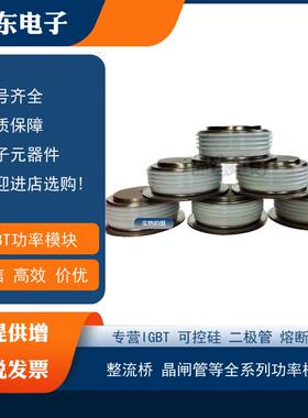 ST700C20L0ST700C20L0LST700C20L1ST700C22L0LST730C08L0现货