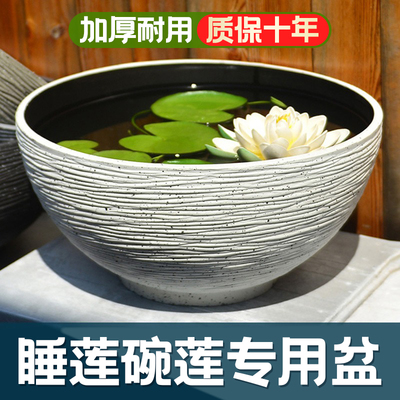 睡莲盆缸养铜钱草金钱草碗莲专用盆水培植物种植塑料大号无孔花盆