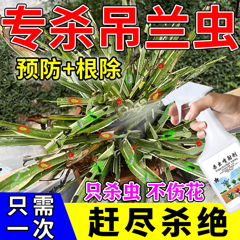 吊兰杀虫剂蚧壳虫螨虫蚜虫一滴净虫卵双杀绿植专用养花杀虫喷射药