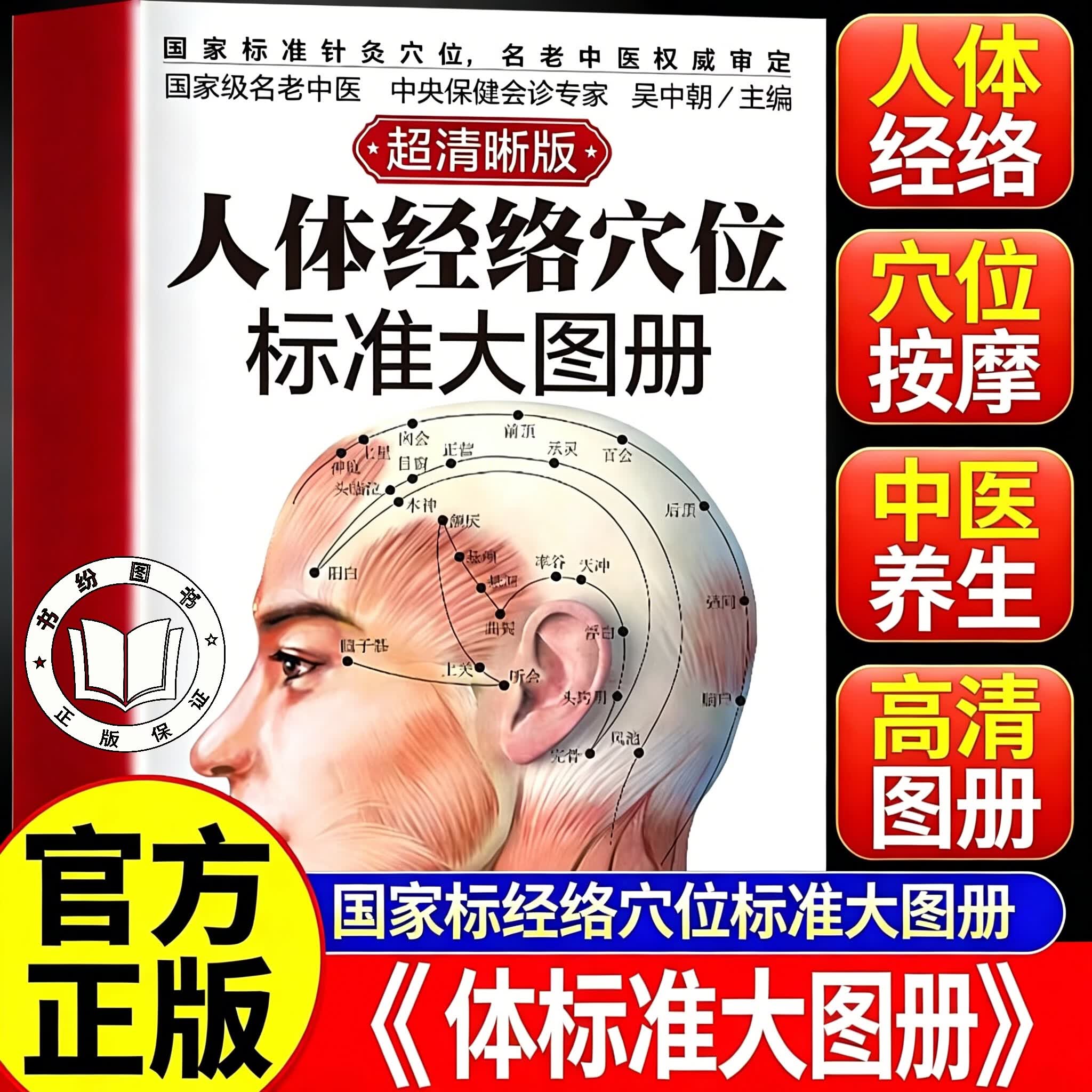 【官方正版】人体经络穴位标准大图册 超清晰 吴中朝 人体经络穴位图解书人体穴位图解大全 中医经络穴位按摩大全养生书大全