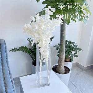 银扇扇叶永生生花银扇干花银草永银扇1311花材料干花软插花花束装