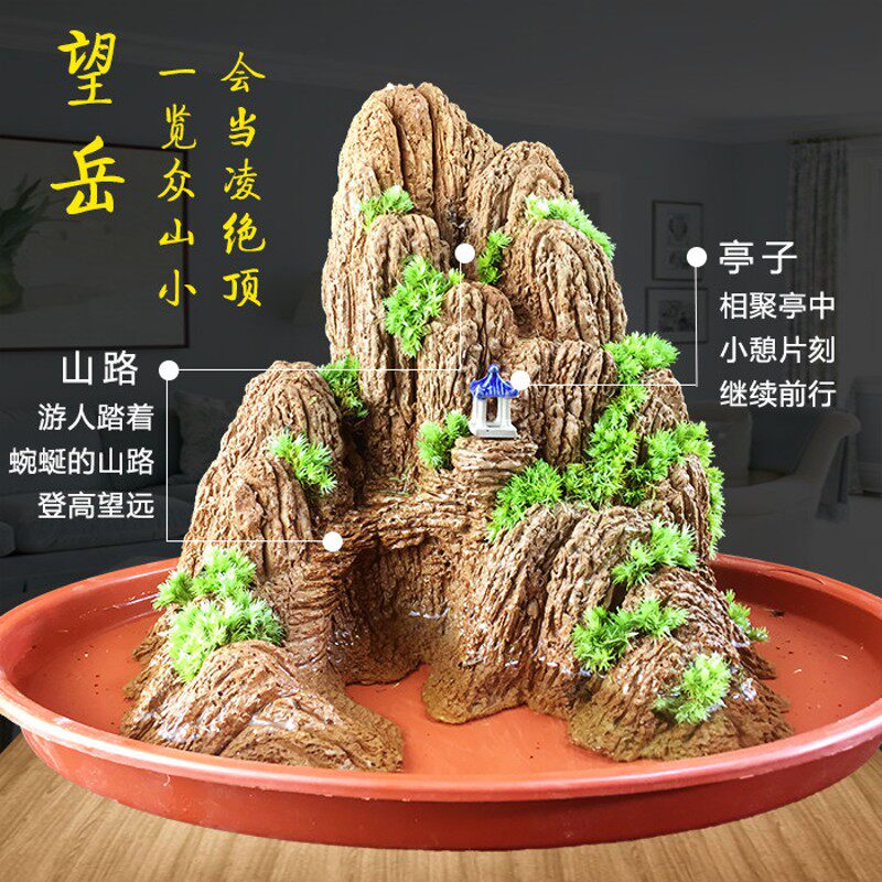 望岳假山盆景吸水石上水石微景观石头天然流水小奇石非原石观赏石
