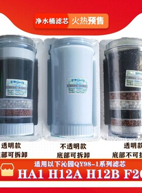 品牌饮水机净水器净水桶滤芯QY98-1 H12B H12A F20 HA1活性炭滤芯
