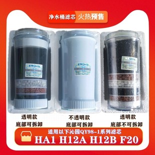 F20 品牌饮水机净水器净水桶滤芯QY98 H12A H12B HA1活性炭滤芯