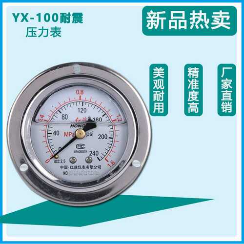 厂家直销红旗带边YNXC100ZT耐震不锈钢压力表电接点充油真空仪表