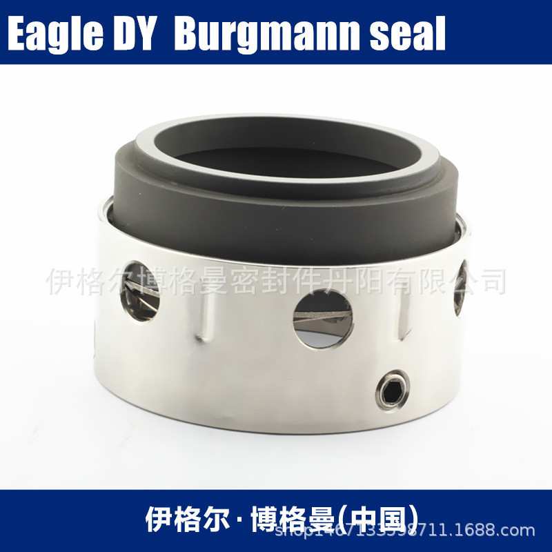 Eagleburgmann机械密封机封滤布及滤饼冲洗水泵ISW50-200博格曼