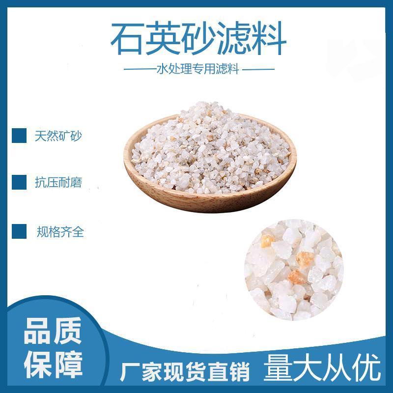 水石英砂去除泥沙游泳池