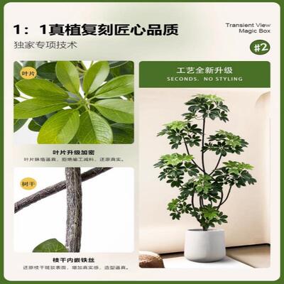 仿真绿地植盆8/26超真鸭脚摆木高端轻奢室内客厅假绿植栽仿生植物