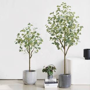 仿真风尤宿加利网尤加利红植桉树盆栽民客绿厅落地装饰摆件北欧人