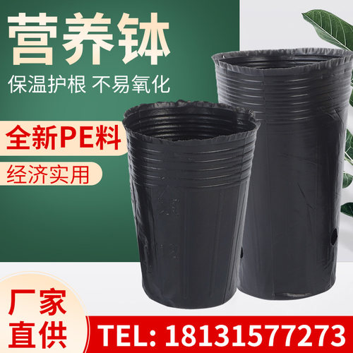 营养钵育苗盆加厚大号一次性花盆黑色种植育苗杯加长营养钵育苗袋