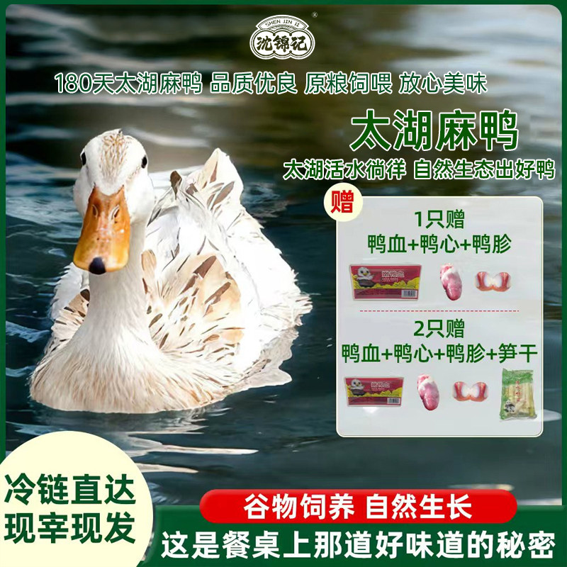 沈锦记太湖麻鸭农家散养土鸭水鸭现抓现杀手工拔毛肉质紧实顺丰