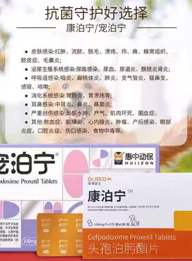 宠泊宁头孢泊肟酯片宠物猫狗狗皮肤病感冒皮炎泌尿消炎药惠中动保