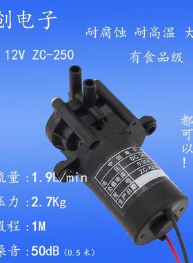 12VA250直流自吸泵静音循环泵增压泵微型齿轮泵柴油泵塑料小水泵