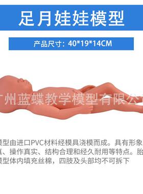 40CM足月胎儿模型由进口PVC材料经模具浇模而成体内填充丝棉