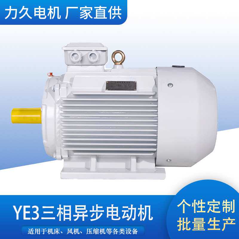 YE4三相异步大功率节能电机持续工作动力强劲