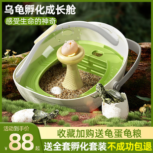 乌龟蛋可孵化成长舱宠物活物饲养箱小龟孵化器盒科学实验玩具套装