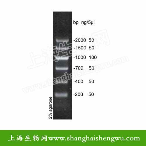 DNA Marker V 50T 250ul DNA Marker 分子量标准 R04034 核酸电泳