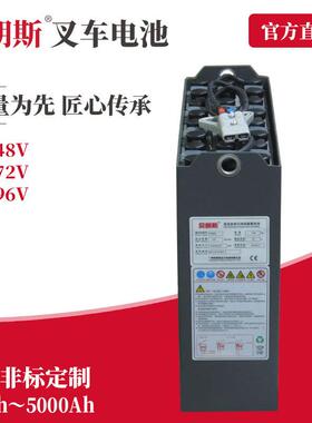 2HPzS220铅酸蓄电池组24V220Ah海斯特堆垛叉车S1.2S电瓶