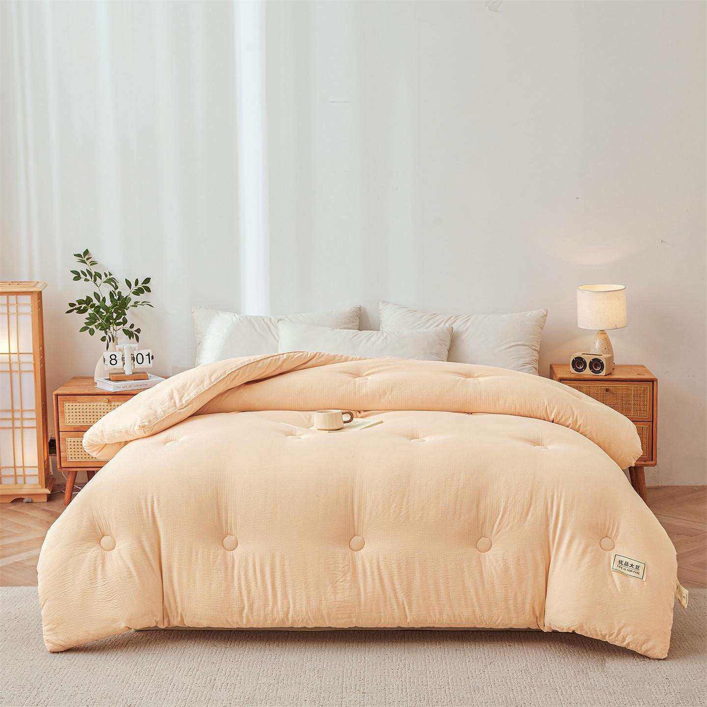 新款A类云感双层纱大豆被冬被被芯春秋被子母被夏被学生单人被芯