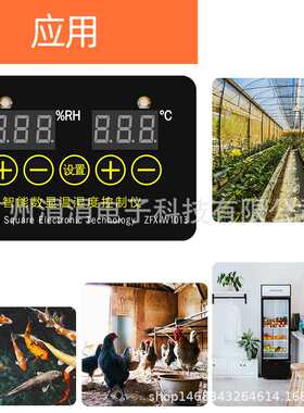 ZFX-W1013微电脑温度控制器温控器智能控制器可调-20°C?80°C