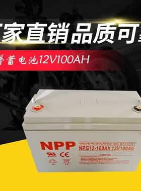 NPP耐普蓄电池NP/NPG 12V17AH24AH38AH6H100AH120AH150A ups用