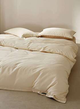 纯棉磨毛四件套全棉高支高密纯色轻奢秋冬保暖加厚床上用品四件套