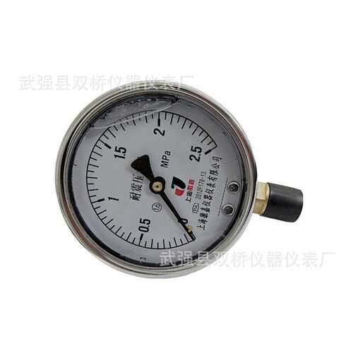 耐震压力表YN-100耐振液压油高压0-1.0-1.6-2.5-6-40mpa抗震高压