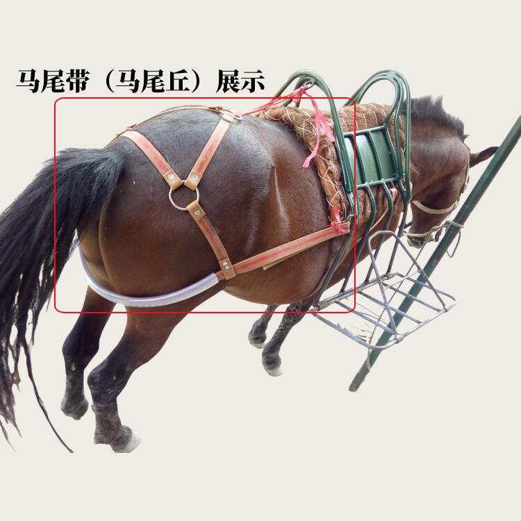 马具马术马匹马笼头马龙套马鞍垫子马尾根马尾带马尾丘马胸带前丘
