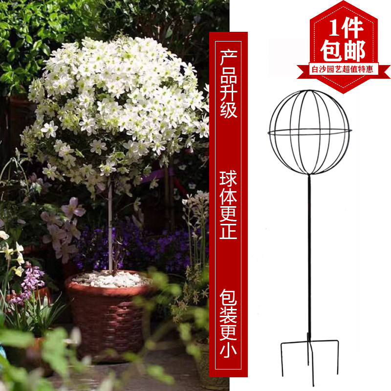 球形花架铁线莲蓝雪花阳台室内铁艺球型爬藤架风车茉莉棒棒糖包邮