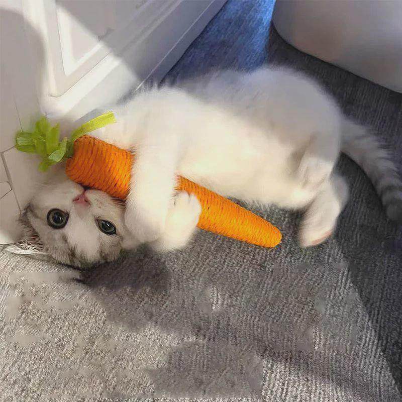 Cat Toys Sound Carrot Cuddle cat stick since fun fun cat tee