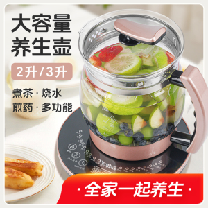 花茶养生壶2025新款养生壶大容量2升壶电热炖煮一体水家用多功能L