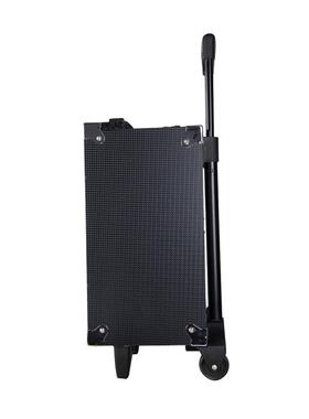 特声日K8-2T户红外音响锂电1池美广场舞便携拉杆音响B700A外接2v