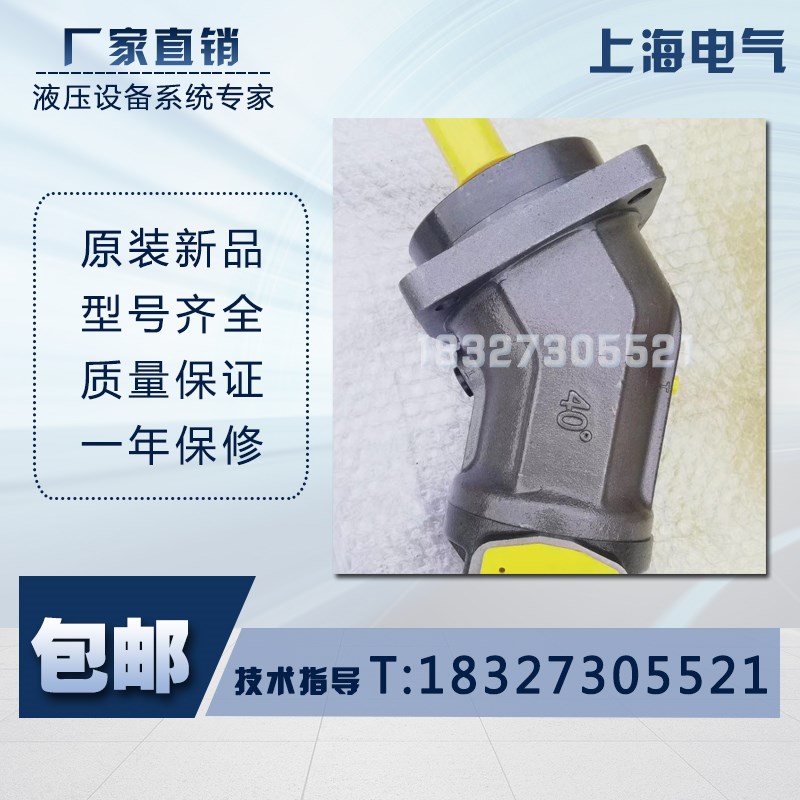 上海电气A2F28R6.1B3 A2F80R6.1P5 A2F107W6.1P6 柱塞泵回转马达