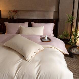 025秋冬季 水洗加厚全提棉磨毛花纽2扣工艺四件套不掉 新CW202510款