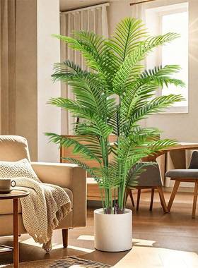 绿植散尾葵轻内PDD10258奢室厅落地式大客型盆栽室内仿装饰生摆件
