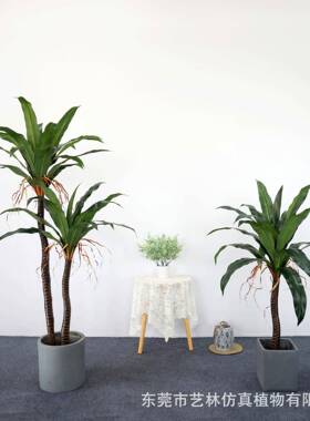 仿真铁树酒植店客厅室内大型落地植物20230727装花饰草盆栽巴西铁