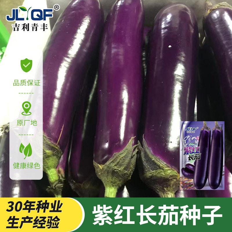 茄子木耳菜黄瓜丝瓜南瓜高产新型各种端蔬菜种子组合装官方旗舰店图片