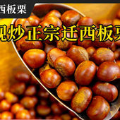 现炒迁西板栗健康零食带壳糖炒营养健康小炒栗子精选土特产礼品