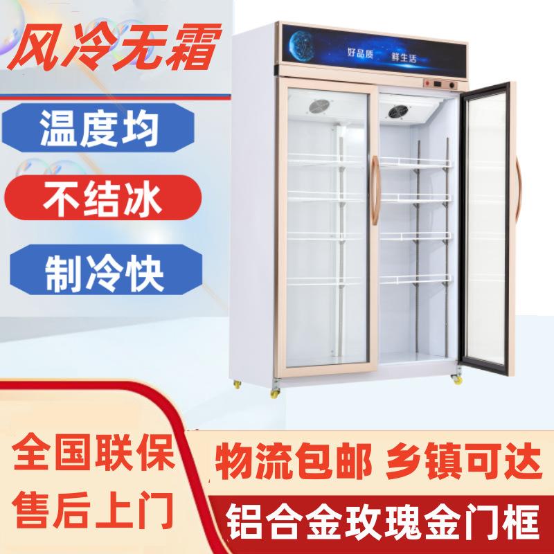 饮料柜冷藏保鲜商用大容量冰柜单双门超市冰箱啤酒柜蔬菜立柜展示