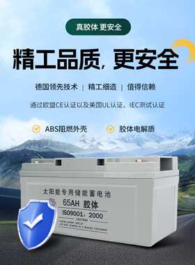 太阳能专用铅酸免维护胶体蓄电池12V250AH大容量家用路灯监控电瓶