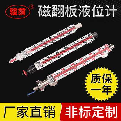 磁翻板液位计 防蚀耐温耐压顶装侧装带远传 磁性浮子液位计可定