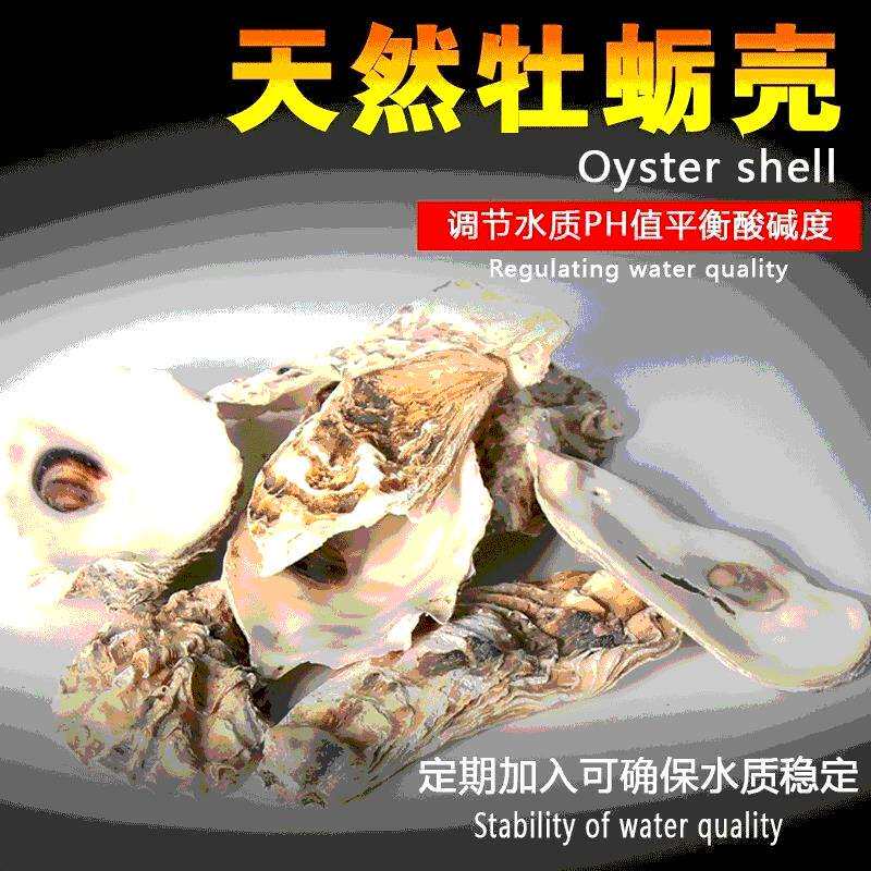 滤材耗壳耗滤材耗鱼池过滤材料(锦鲤池专用滤材)稳定值增加钙