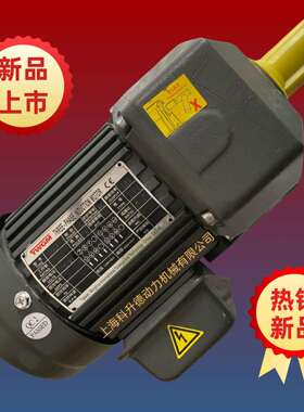 G200A0.2KWSH28165RTWGM减速马达TWGM排屑电机