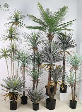 仿真绿植盆栽狭叶龙血树夹叶龙舌兰丝兰树马尾铁针葵铁树橱窗装饰