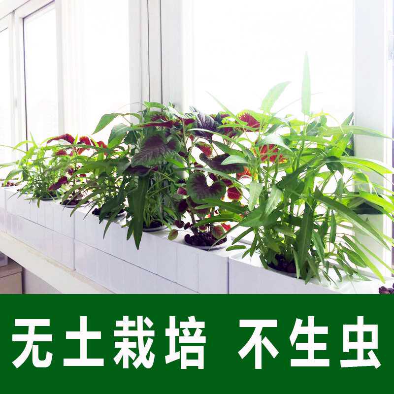 无土栽培黄瓜水培蔬菜家庭室内阳台种菜神器智能箱自动管道式设备