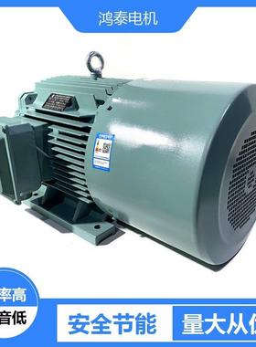 鸿泰低压大外圆电机tYE3-4502-8t500KWt380V/660Vt易于安装拆卸