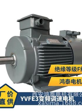 鸿泰低压三相异步电机tYVFE3-355L-10t160KWt380Vt安装方式IMB3